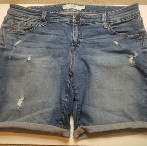 Torrid 16 Cuffed Dustressed Bermuda Shorts